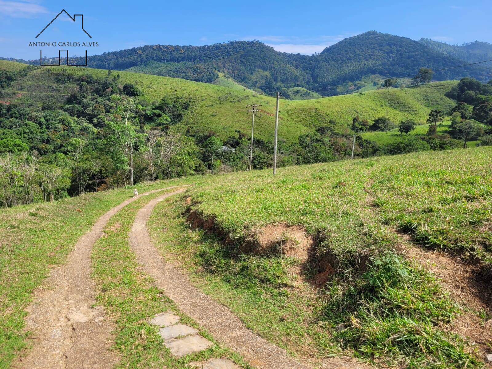 Fazenda à venda com 2 quartos, 200m² - Foto 61