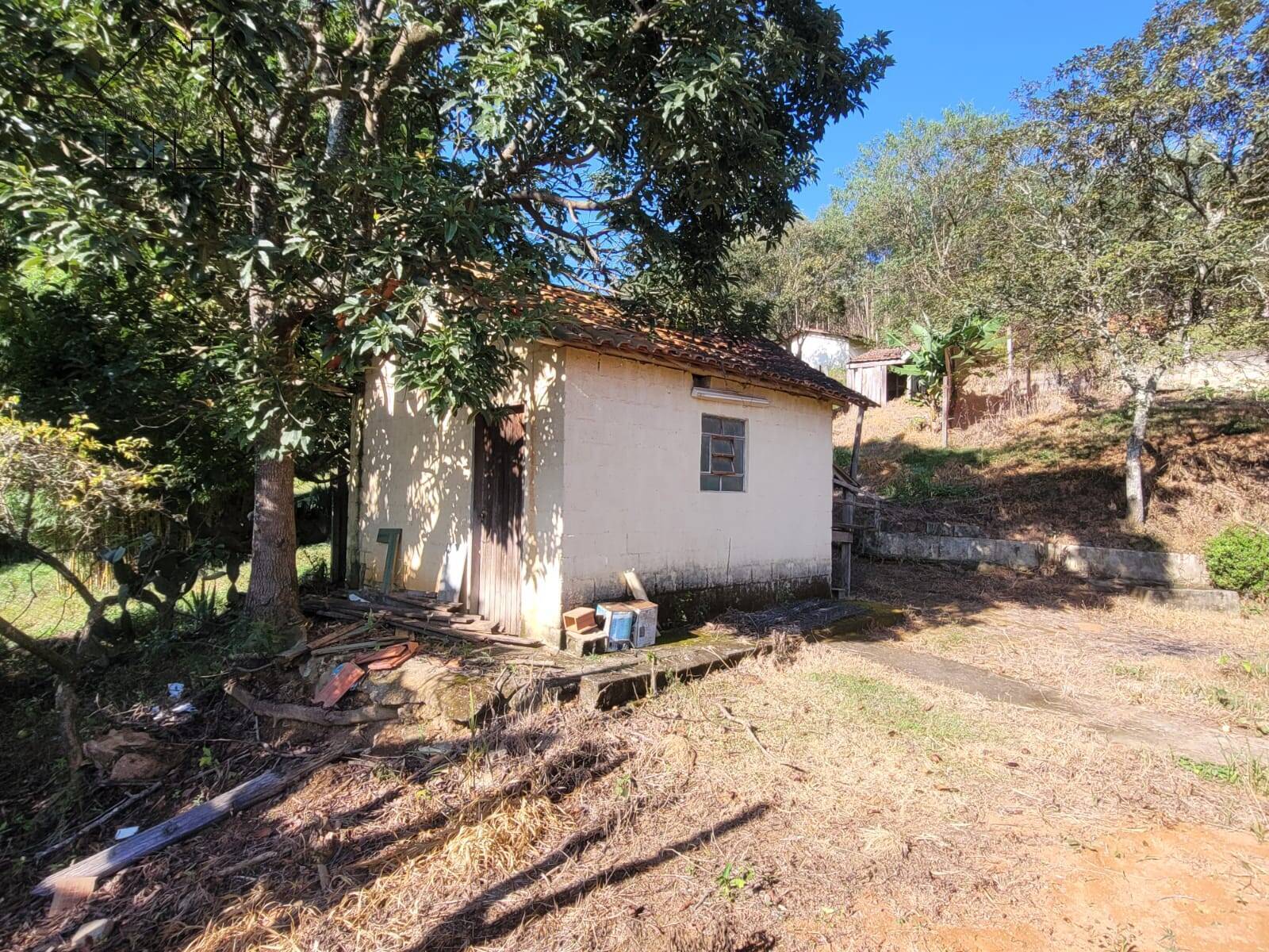 Fazenda à venda com 6 quartos, 180m² - Foto 38