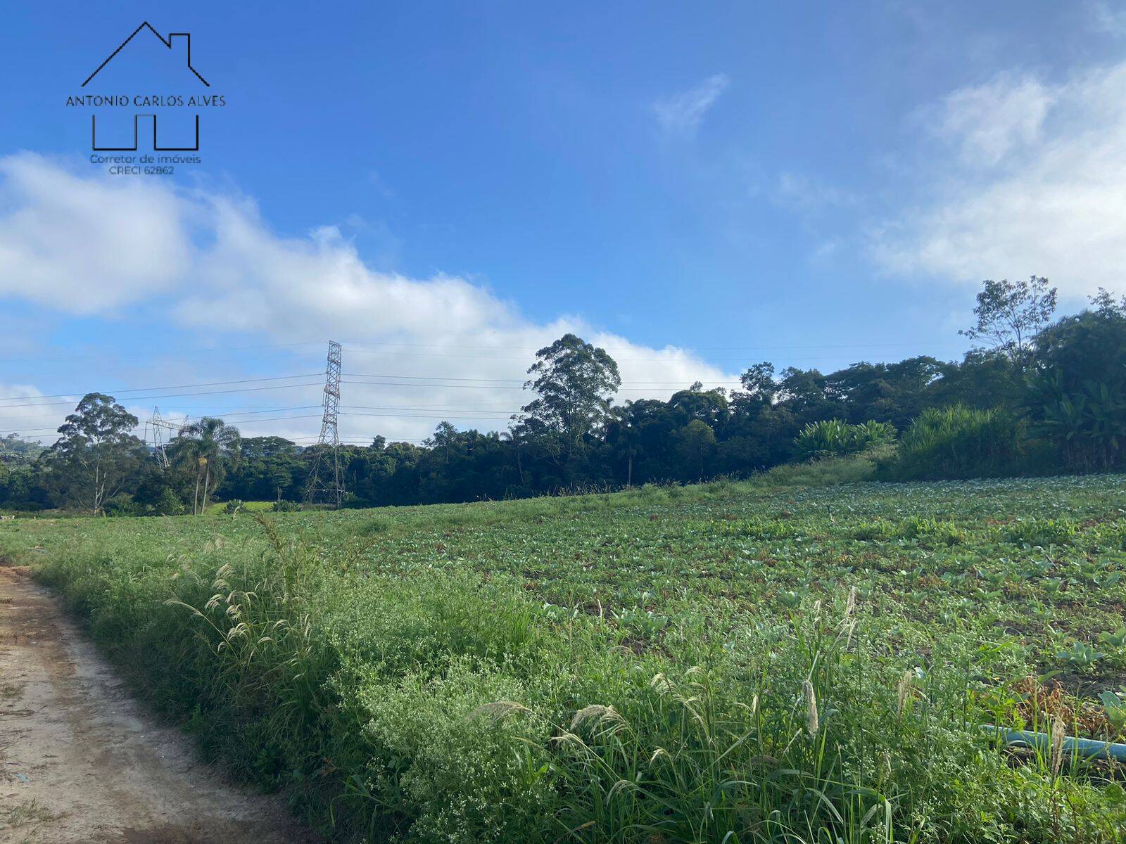 Terreno à venda, 194153m² - Foto 4