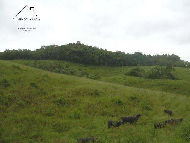 Terreno à venda, 194153m² - Foto 26