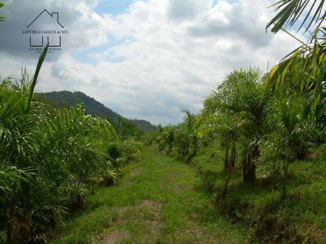 Terreno à venda, 194153m² - Foto 28