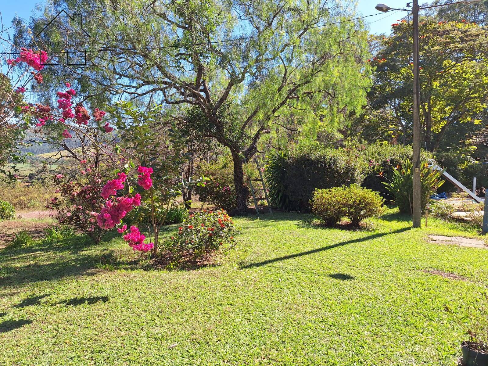 Fazenda à venda com 6 quartos, 400m² - Foto 33