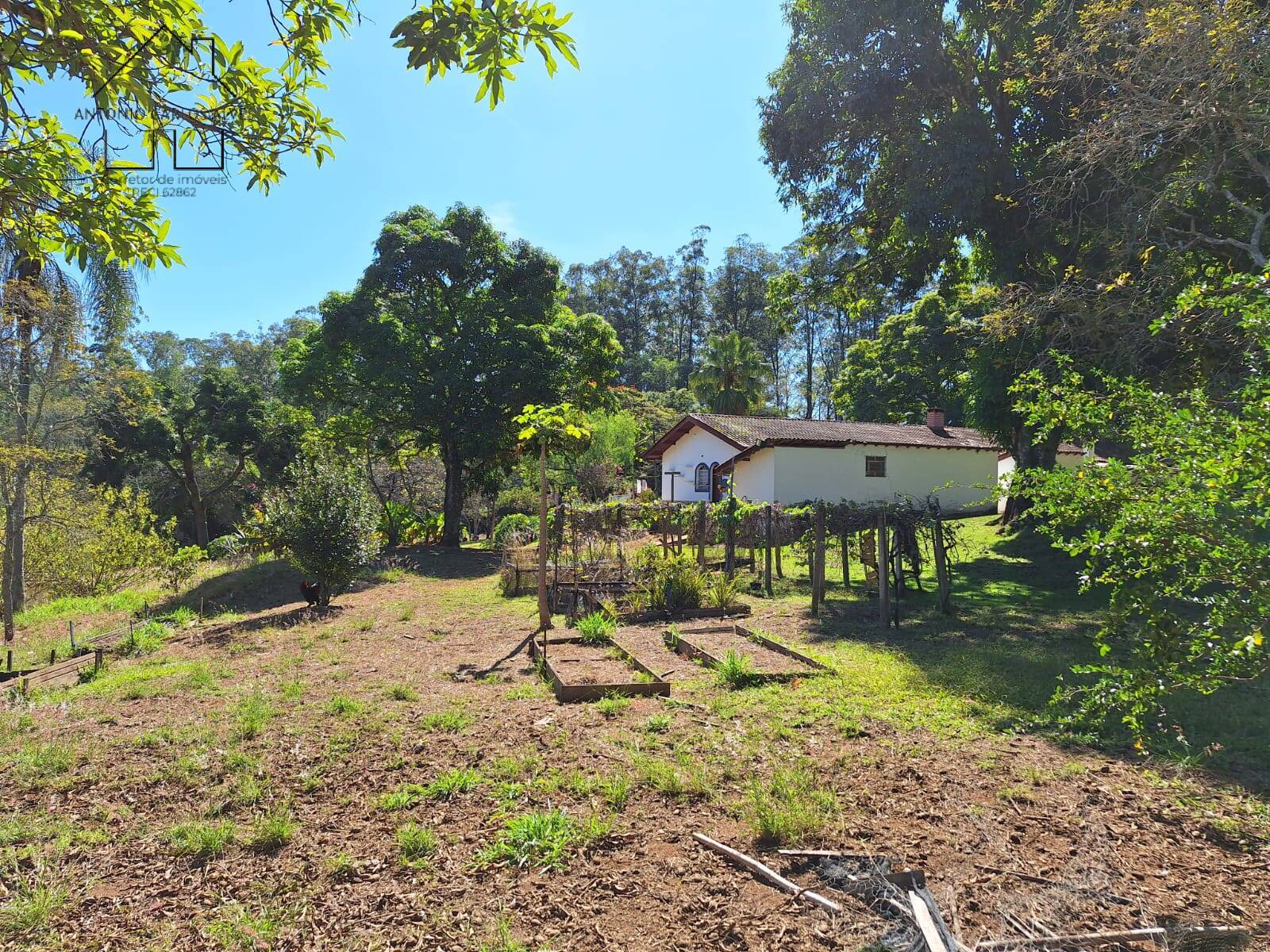 Fazenda à venda com 6 quartos, 400m² - Foto 36