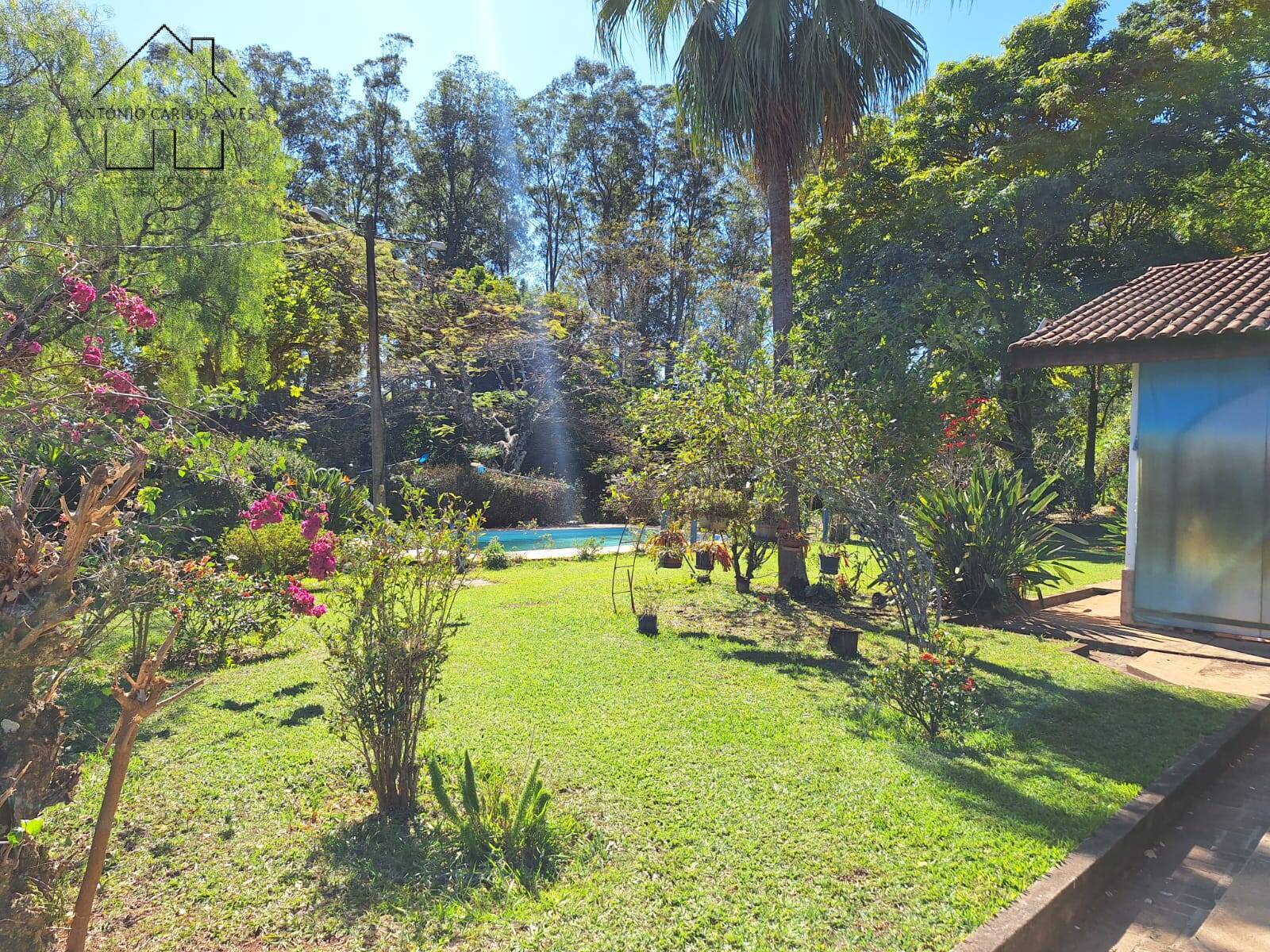 Fazenda à venda com 6 quartos, 400m² - Foto 38