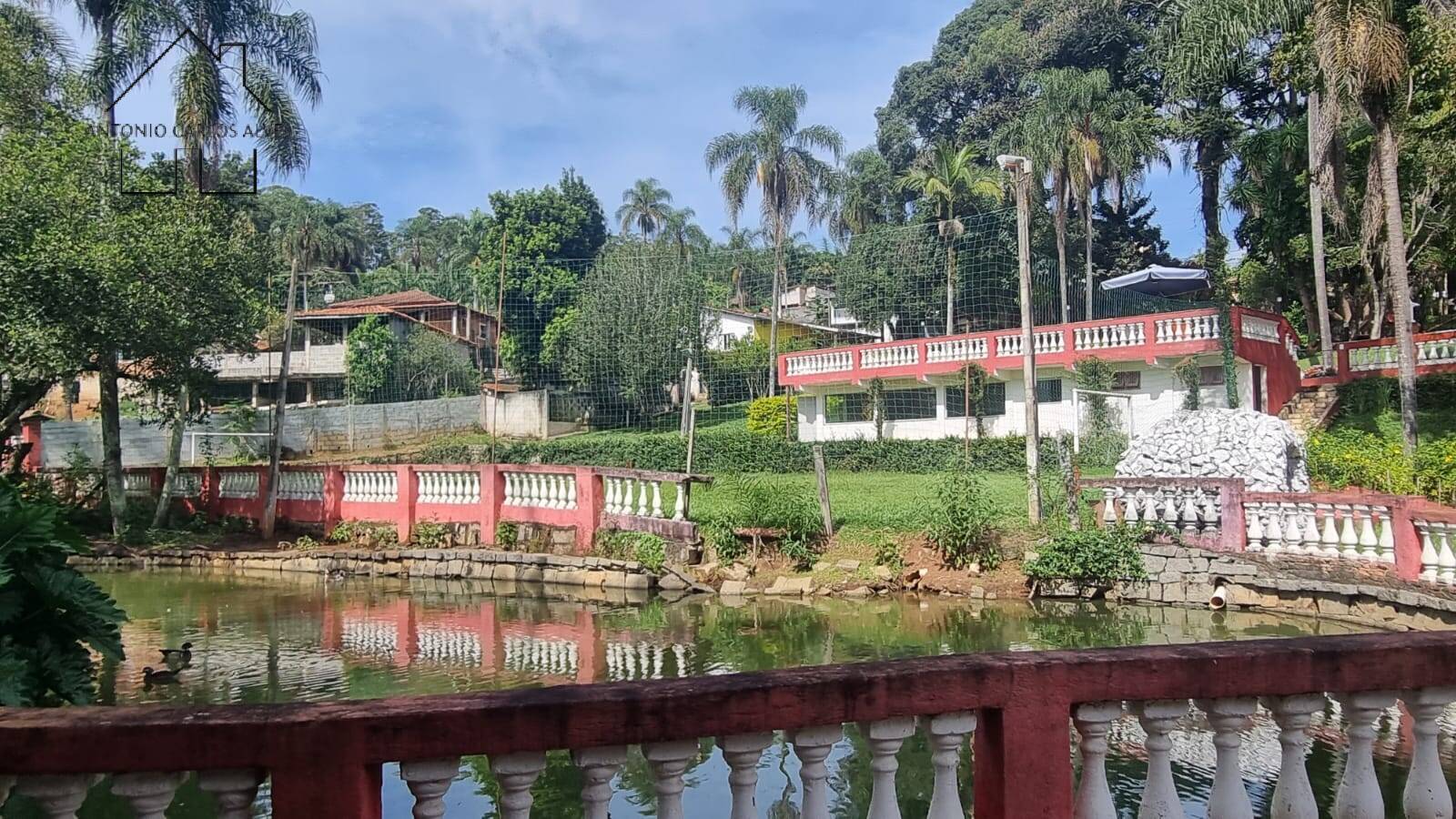 Fazenda à venda com 5 quartos, 800m² - Foto 6