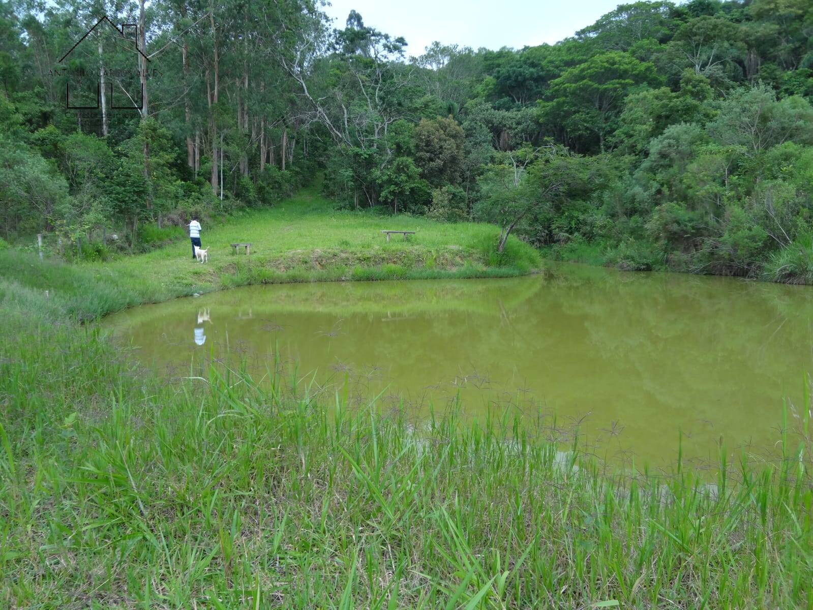 Fazenda à venda com 4 quartos, 1000m² - Foto 73