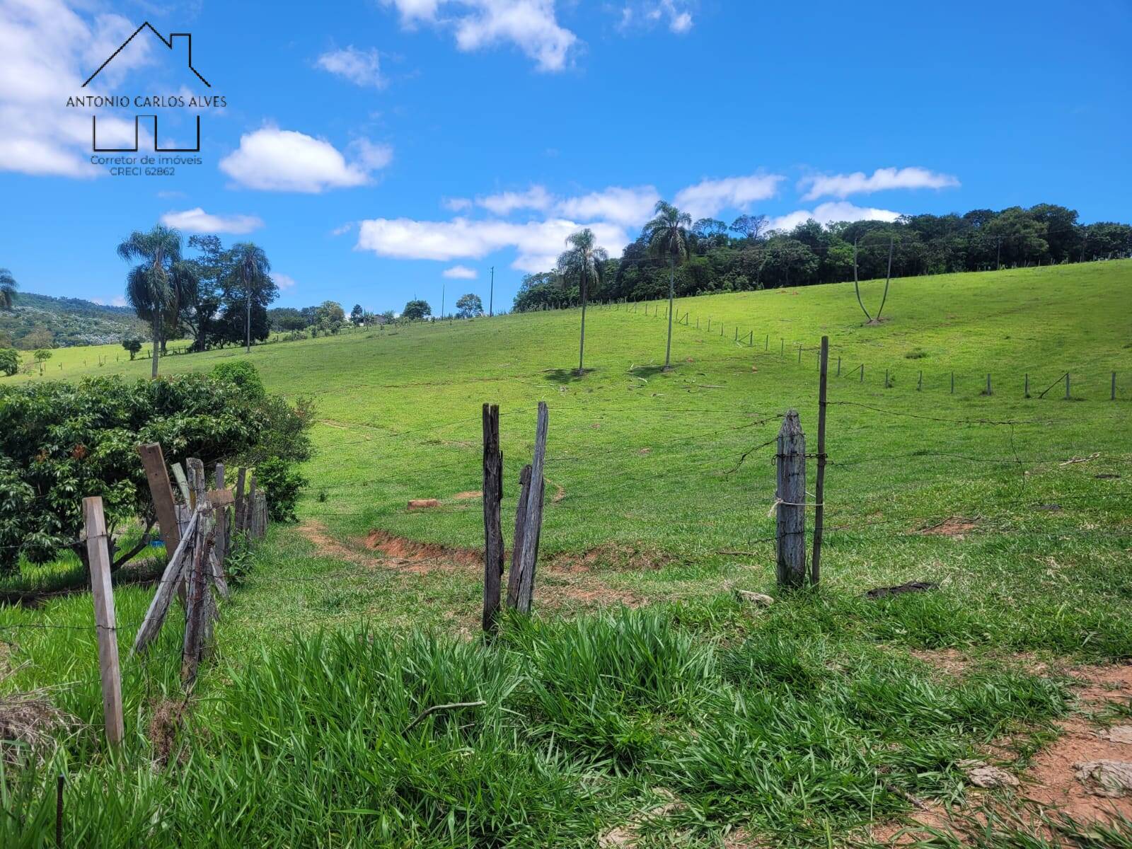 Terreno à venda, 1700m² - Foto 5