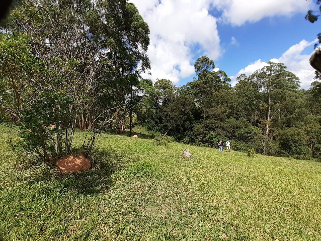 Fazenda à venda com 2 quartos, 100m² - Foto 6