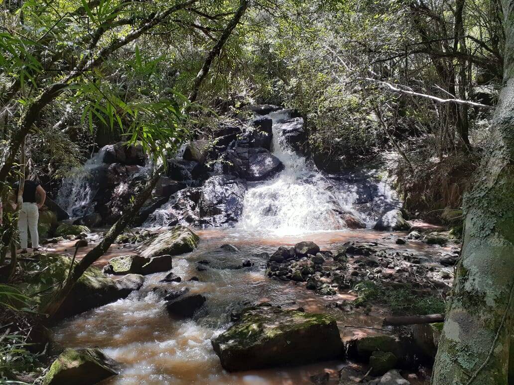 Fazenda à venda com 2 quartos, 100m² - Foto 3