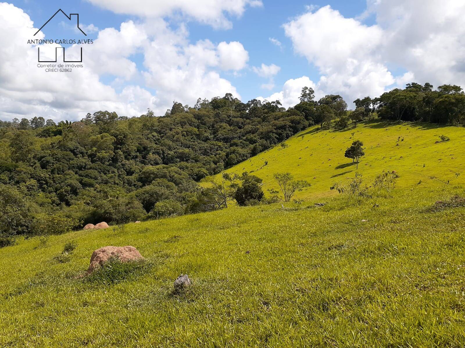 Fazenda à venda com 2 quartos, 100m² - Foto 11