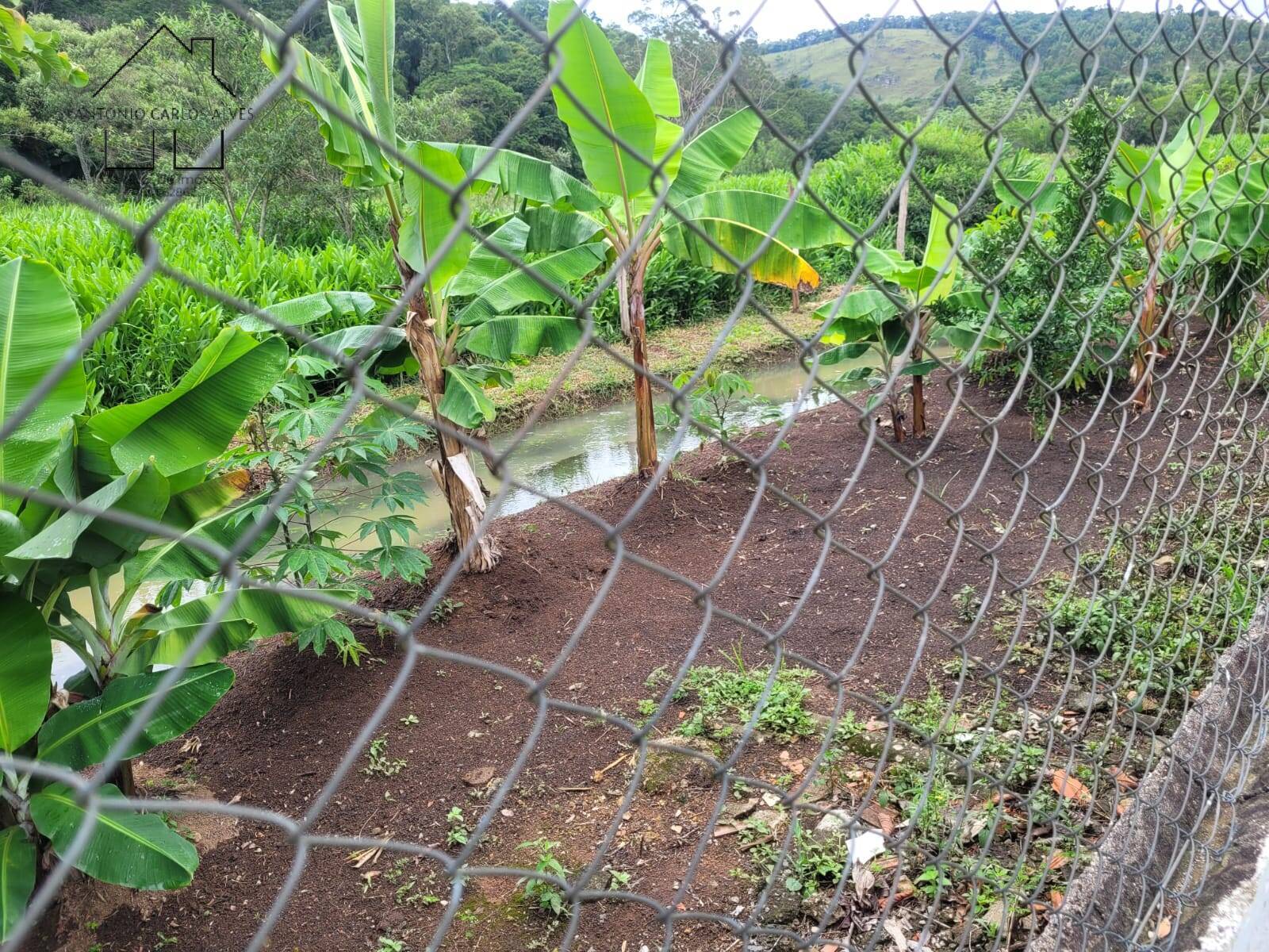 Fazenda à venda com 1 quarto, 484m² - Foto 53